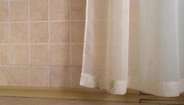Best Residential Mold Inspection & Testing  in Nikiski, AK