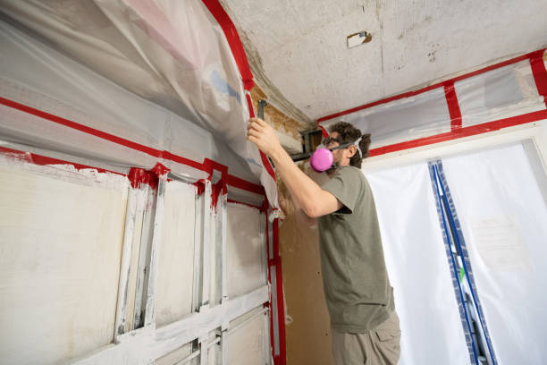Best Mold Remediation for Vacation Homes  in Nikiski, AK