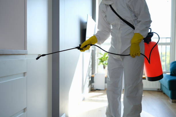 Best Mold Damage Restoration  in Nikiski, AK